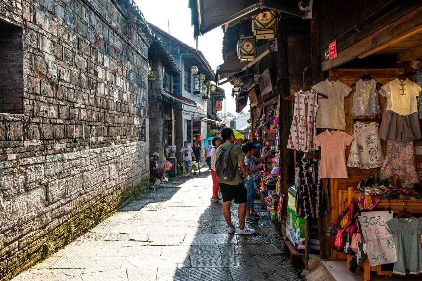 解救金刚鹦鹉